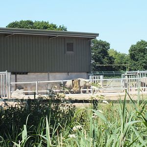 The other Tsavo Unit 28/06/19