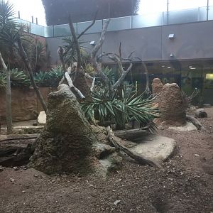 Meerkat Enclosure - Royal Children's Hospital Melbourne