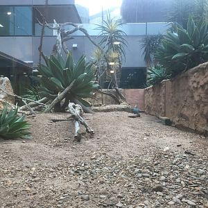 Meerkat Enclosure - Royal Children's Hospital Melbourne