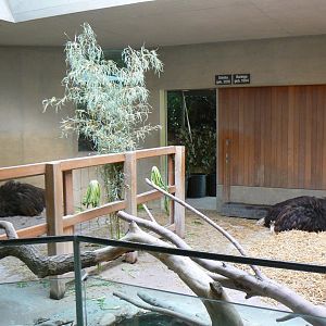 Ostrich House - 27 June 2018