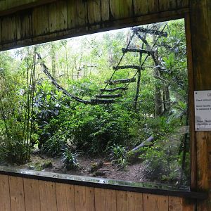 Common Squirrel Monkey Enclosure at La Flèche, 11/06/18