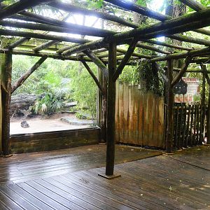 Black Leopard Enclosure at La Flèche, 11/06/18