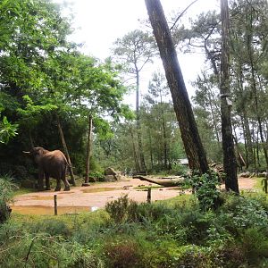 Elephant Enclosure at La Flèche, 11/06/18