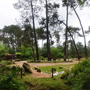 Elephant Enclosure at La Flèche, 11/06/18
