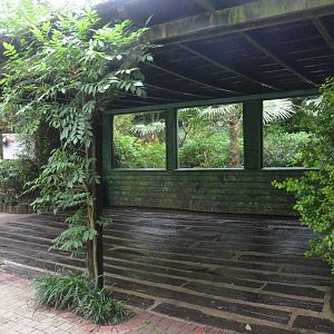 Toco Toucan Aviary at La Flèche, 11/06/18