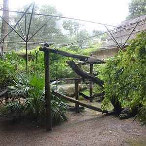 Ocelot Enclosure at La Flèche, 11/06/18