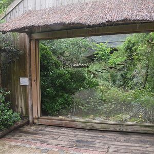 Saki and Mixed Birds Enclosure at La Flèche, 11/06/18