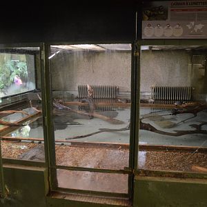 Spectacled Caiman Enclosure at La Flèche, 11/06/18