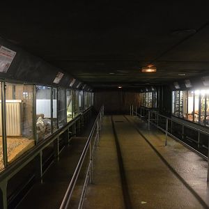 Vivarium Interior at La Flèche, 11/06/18