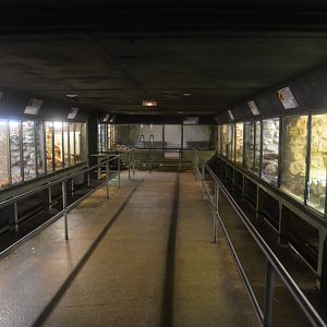 Vivarium Interior at La Flèche, 11/06/18