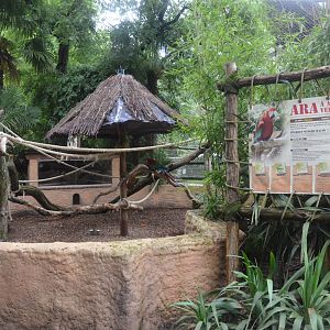 Green-winged Macaw Enclosure at La Flèche, 11/06/18