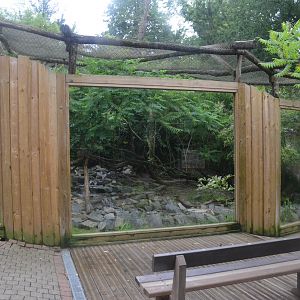 Jaguarundi Enclosure at La Flèche, 11/06/18