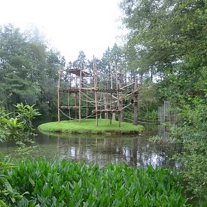 Spider Monkey Enclosure at La Flèche, 11/06/18