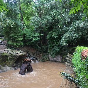Kamchatkan Bear Enclosure at La Flèche, 11/06/18