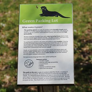 Green Parking Lot