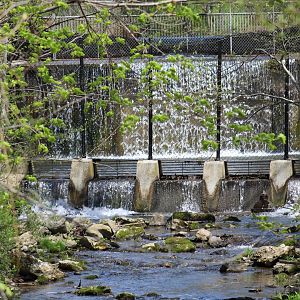 Outside View of Otter Enclosure