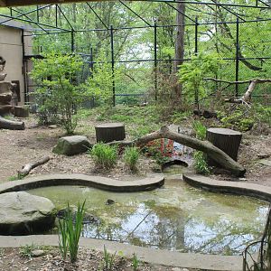 View of Leopard Enclosure #2