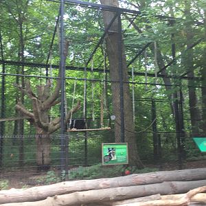 Future Siamang Exhibit | Milwaukee County Zoo