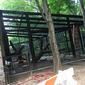 Future Mandrill Exhibit | Milwaukee County Zoo