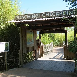 Tiger Trek - Poaching Checkpoint Interpretive Area