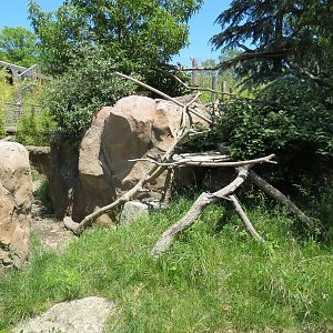Tiger Trek - Red Panda Exhibit