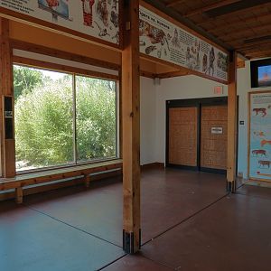 Tiger Trek - Tiger Reserve Lodge Interior