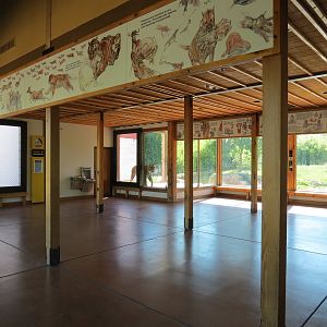 Tiger Trek - Tiger Reserve Lodge Interior