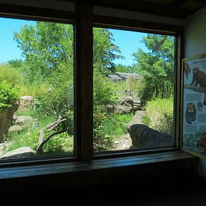 Tiger Trek - Tiger Reserve Lodge View of Red Panda Exhibit