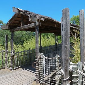Tiger Trek - Viewing Shelter