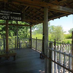 Tiger Trek - Viewing Shelter