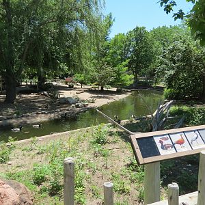Asian Forest - Moated Yard