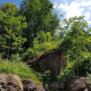 deer & mouflon walkthrough