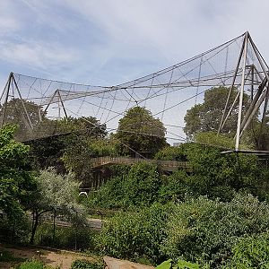 Snowdon aviary
