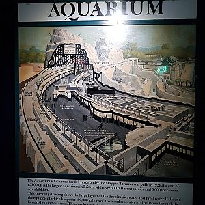 aquarium/mappin