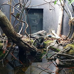 vivarium