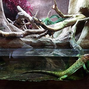 vivarium