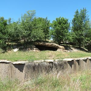 North America - Grizzly Bear Exhibit