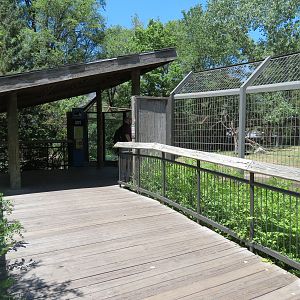 North America - Black Bear Exhibit Viewing Shelter