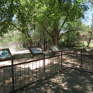 North America - Sandhill Crane, White-tailed Deer, and Wild Turkey Exhibit