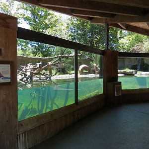 North America - River Otter Exhibit