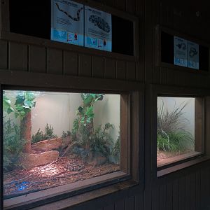 North America - Reptile Exhibits
