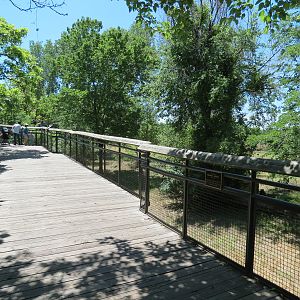 North America - Mexican Wolf Exhibit Viewing Boardwalk