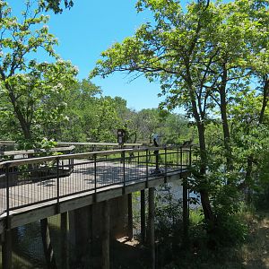 North America - Mexican Wolf Exhibit Viewing Boardwalk
