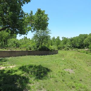 North America - Pronghorn Exhibit