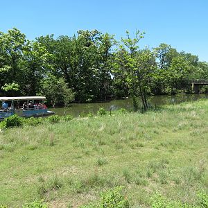 North America - Pronghorn Exhibit