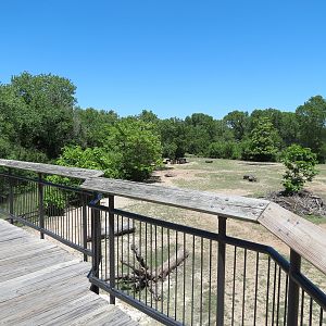 North America - American Bison Exhibit Viewing Boardwalk