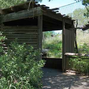 North America - Cougar Exhibit Viewing Shelter