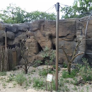 View of Spectacled Owl Aviary