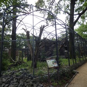 View of Lammergeier aviary