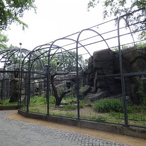 King Vulture and Crested Caracara aviary